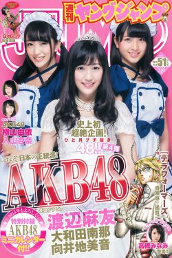 电视剧北平无战事
